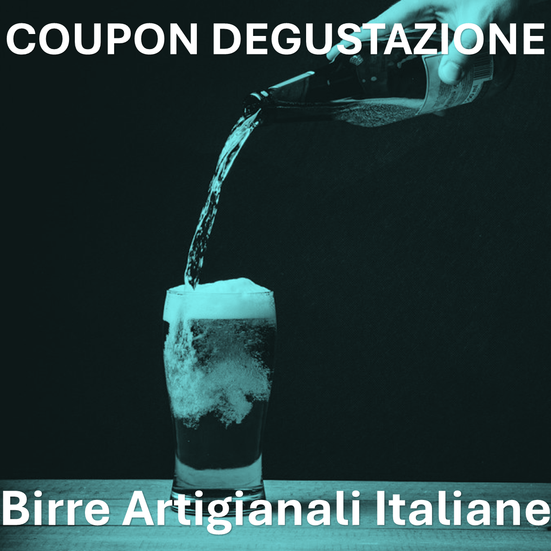 Diapositiva12
