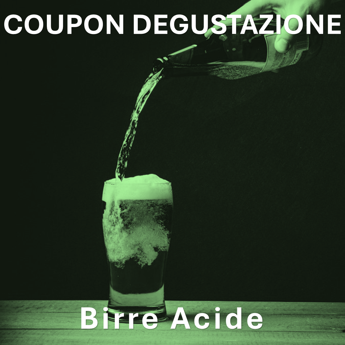 Diapositiva13